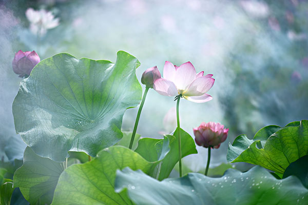 内江师范学院成人高考报名费